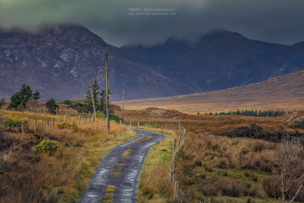 CONNEMARA North