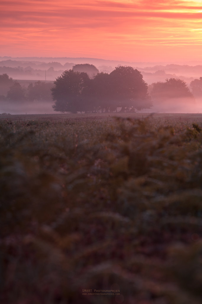 Lever soleil de septembre