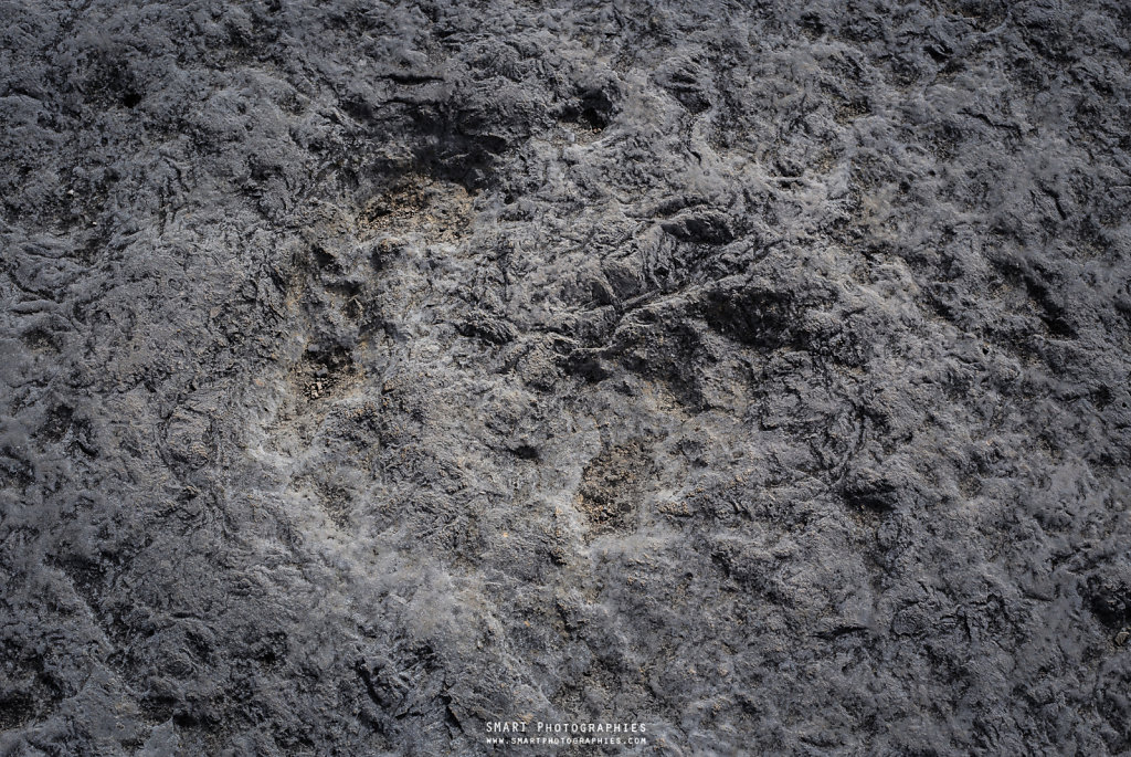 TRACES DE DINOSAURES  (Parque Natural das Serras de Aire e Candeeiros)