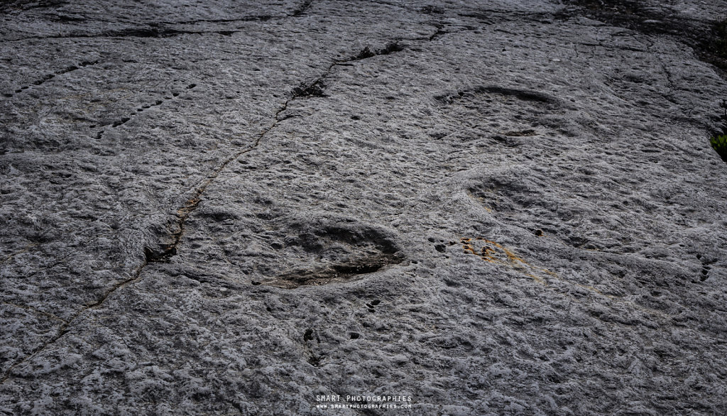 TRACES DE DINOSAURES  (Parque Natural das Serras de Aire e Candeeiros)