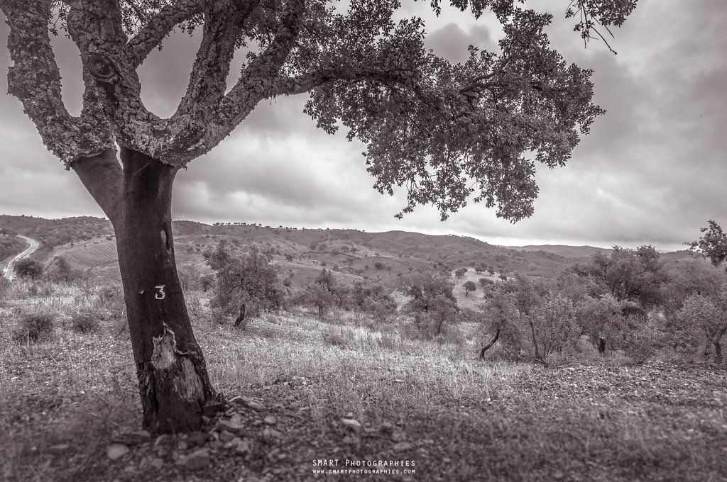 SERRA do CALDEIRAO