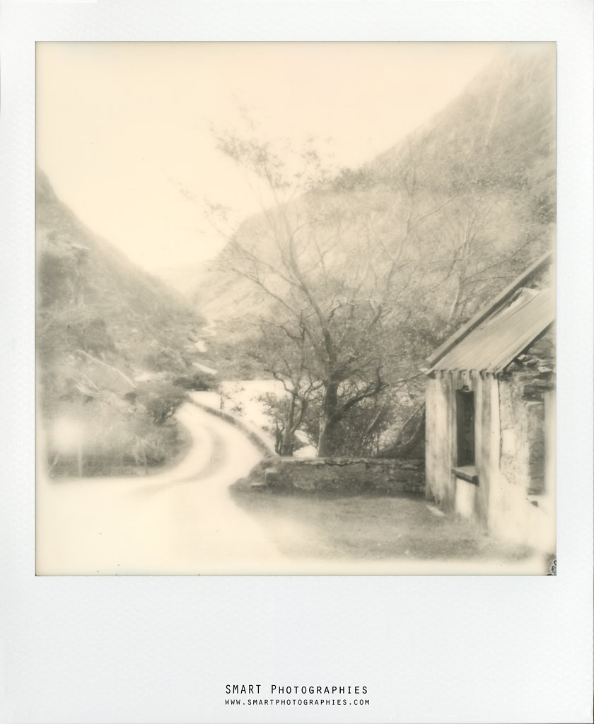 POLA-IRLANDE009.jpg