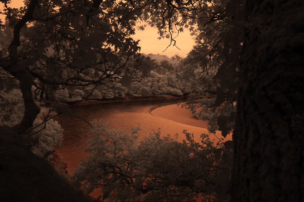 SCENE-7.jpg
