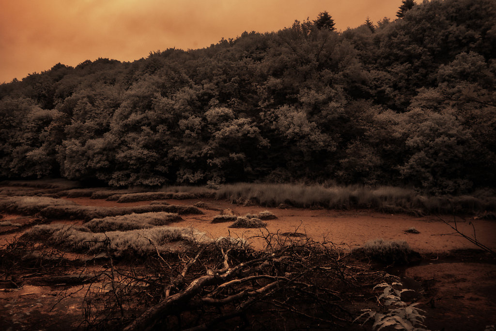 SCENE-8.jpg