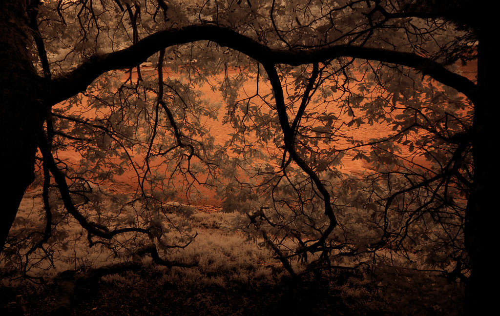 SCENE-9.jpg